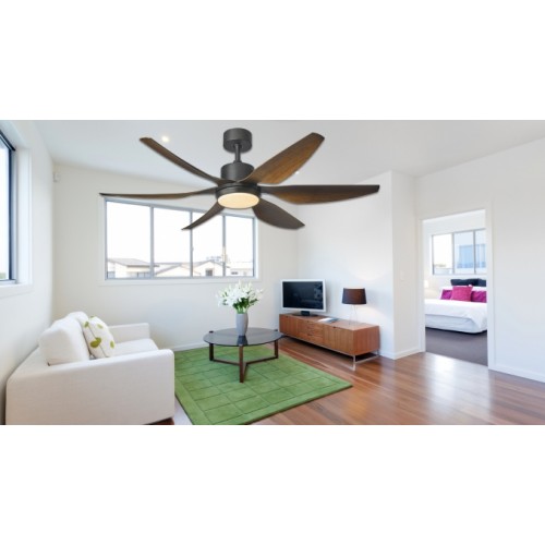 Ceiling Fan