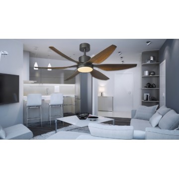 Ceiling Fan