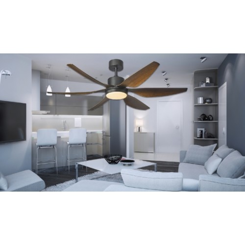 Ceiling Fan