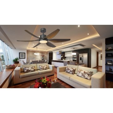 Ceiling Fan