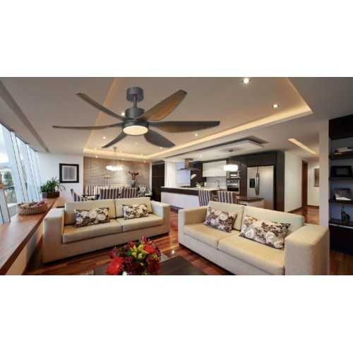 Ceiling Fan