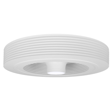 Ceiling Fan