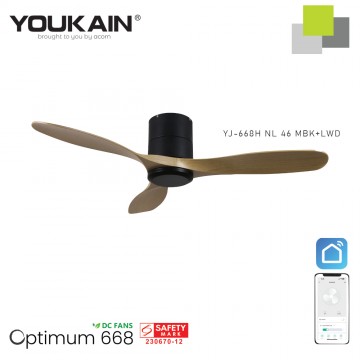 Ceiling Fan