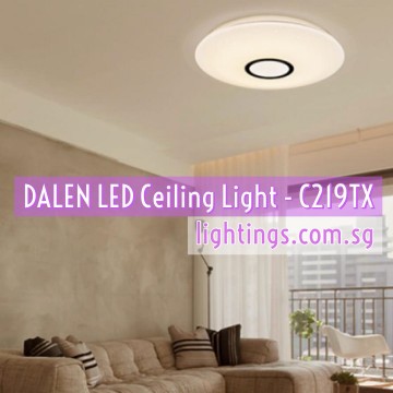 Ceiling Lamp
