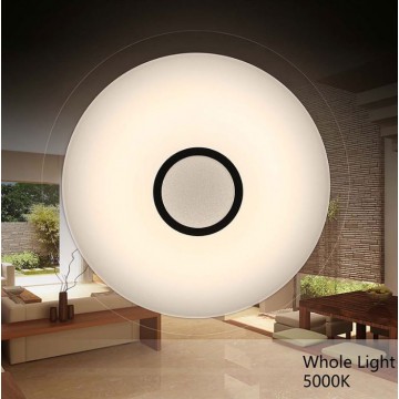 Ceiling Lamp
