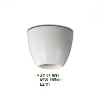 Ceiling Lamp