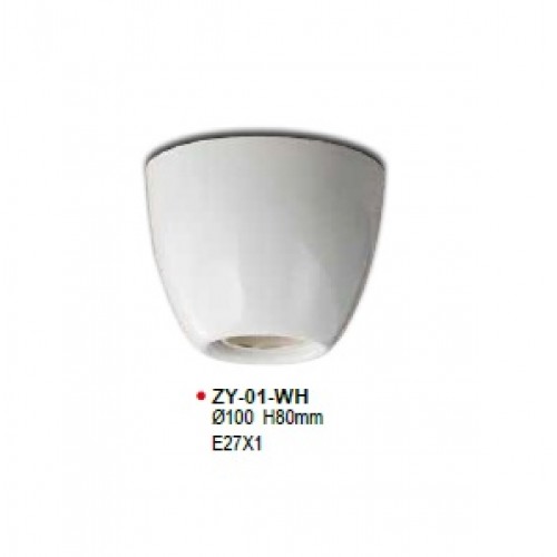 Ceiling Lamp